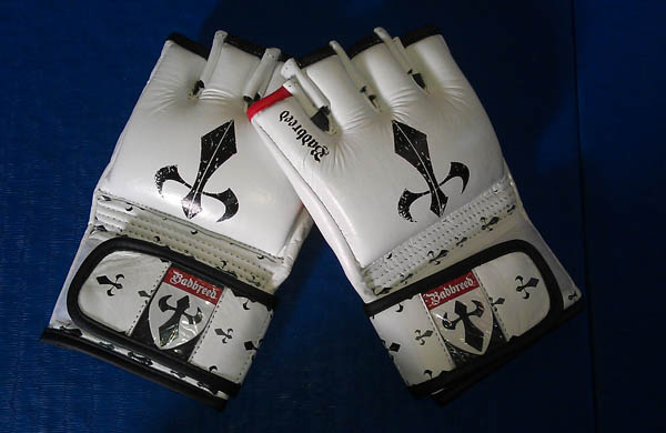 Badbreed Signature Edition White 4oz MMA Gloves Review – Shop4 Martial Arts  Blog